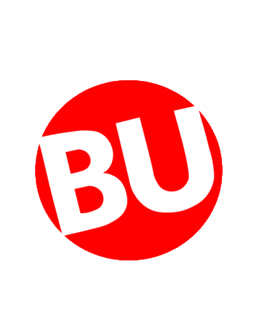 Bu Bostonu Sticker by Boston University