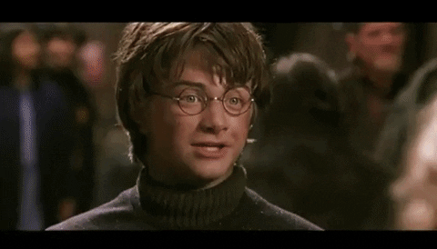 Jeannou_Topito giphygifmaker harry harrypotter potter GIF