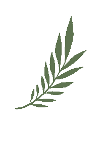 Leaf Sticker