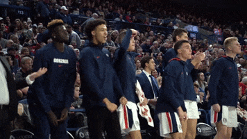 GonzagaBulldogs celebration basketball bench gonzaga GIF