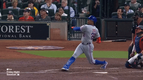 New York Mets Sport GIF by MLB