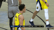 Malcolm Brogdon What GIF by Indiana Pacers