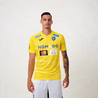 NKBravo goal bravo gol goool GIF