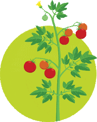 Summer Eat Sticker by PRO-MIX Gardening