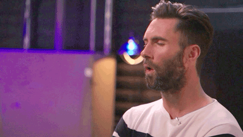 we'll celebrate both adam levine GIF by The Voice