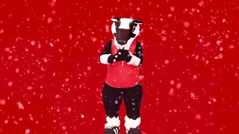 fun snow GIF by Brock University