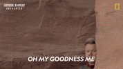 Gordon Ramsay Disney Plus GIF by National Geographic TV