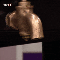 Kitchen Cooking GIF by TRT