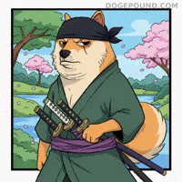 Serious Shiba Inu GIF by Doge Pound