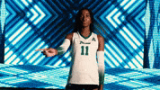 Tulane Rollwave GIF by GreenWave