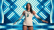 Rollwave GIF by GreenWave