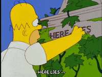 homer simpson GIF