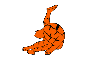 Black Panther Cat GIF by WileyTownsend