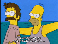 homer simpson GIF