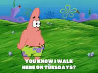 season 6 porous pockets GIF by SpongeBob SquarePants