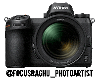 Nikon Nikoninstabadge Sticker by NikonIndia