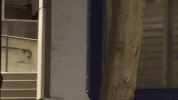 skating france GIF by Pizza Skateboards