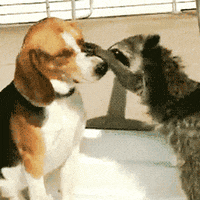 ehhh GIF