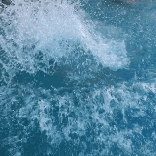 GIF by Justin