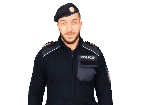 Police Smile Sticker by Policie České republiky