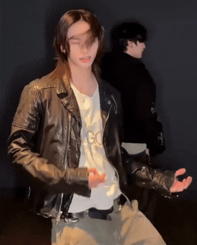 Stray Kids Skz GIF