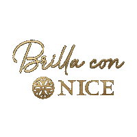 Nice28 Sticker by Niceoficialmx