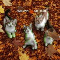 Pop Art Falling GIF by Xinanimodelacra