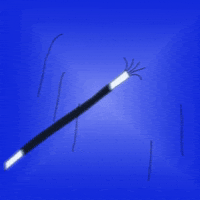 Art Animation GIF by Zsófi Szénásy