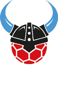 Rhein-Vikings handball niederlage rheinvikings rhein-vikings Sticker