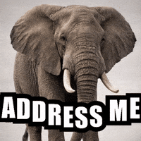g4vqs reaction meme elephant address GIF