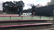 lurkhard GIF by Pizza Skateboards