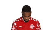 Look Up Mainz 05 Sticker by Bundesliga
