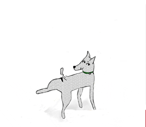 Dog Training Sftd GIF by SchoolForTheDogs