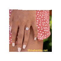 Be My Valentine Love Sticker by Shiv Shambu