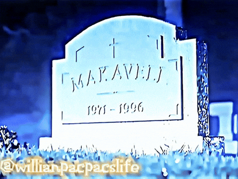 Willianpacpacslife GIF