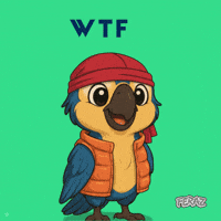 Wtf Is Going On GIF by Feraz NFT