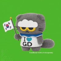 G Dragon Cat GIF