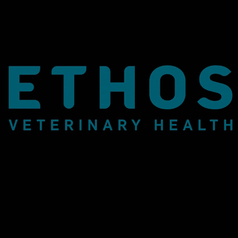 ethosvethealth ethos vet health ethos veterinary health vet tech life ethos vet life GIF