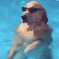 Woof Chill Dog GIF by jOnNy'S wOrLd