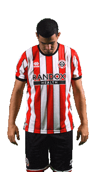 Sheffield United Sport Sticker by Sheffield United Football Club