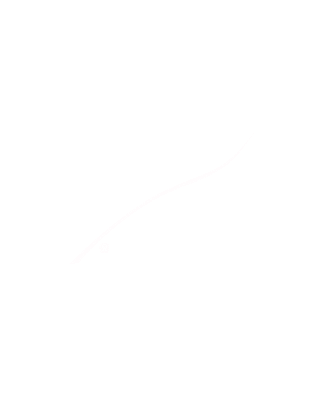 New Zealand Kiwi Sticker by Lululemon AUS NZ