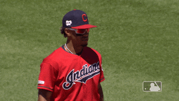 Regular Season Sport GIF by MLB