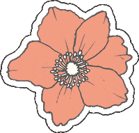 Spring Bloom Sticker by YOOLETTA