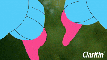 Claritin