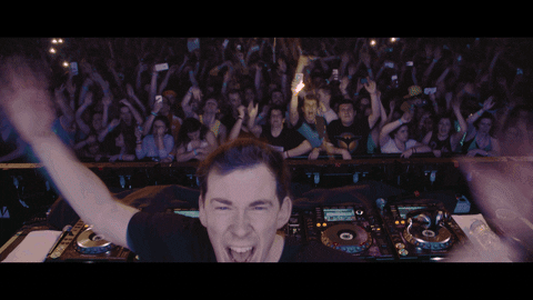 party jumping GIF by Hardwell