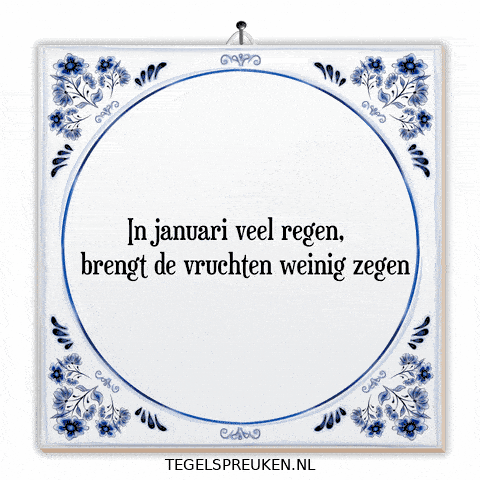 Hoop Nl GIF by Tegelspreuken.nl