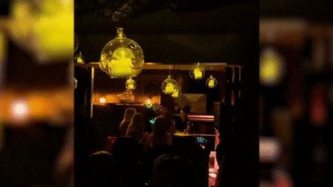 GIF by Good Morning America