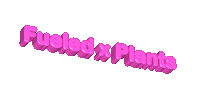 Plant Based Vegan Sticker by Aquafaba Test Kitchen