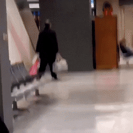 giffunme giphyupload GIF