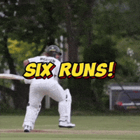 England Cricket GIF by Luke Westen